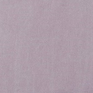 CANVAS 166: Marjapuuro